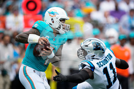Dolphins Panthers Football