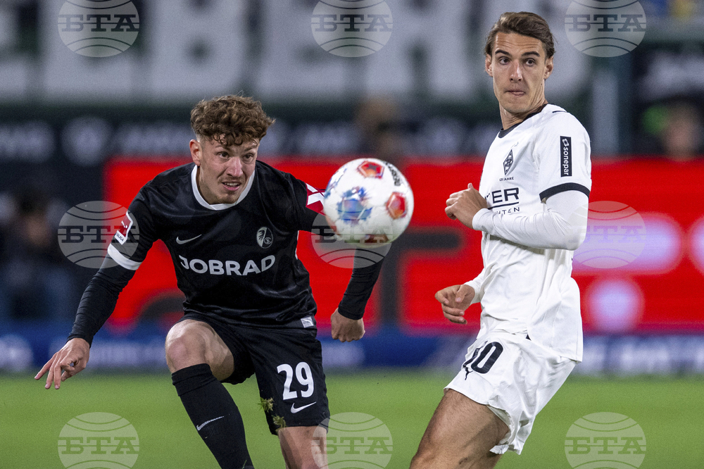 Germany Soccer Bundesliga