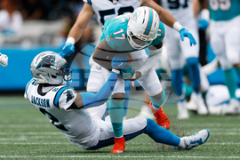 Dolphins Panthers Football