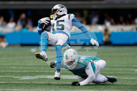 APTOPIX Dolphins Panthers Football