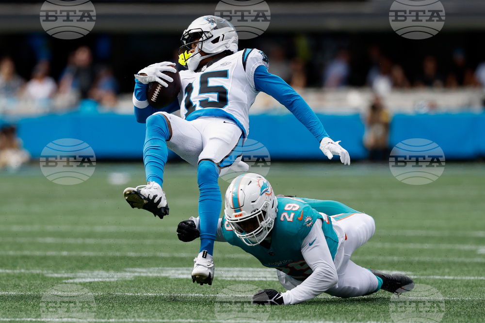 APTOPIX Dolphins Panthers Football