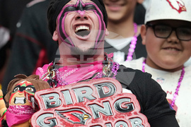 Titans Cardinals Football