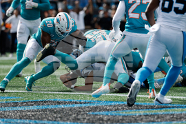 Dolphins Panthers Football