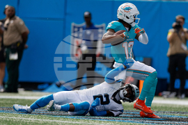 Dolphins Panthers Football