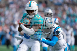 Dolphins Panthers Football