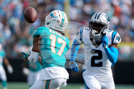 Dolphins Panthers Football