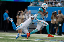 Dolphins Panthers Football
