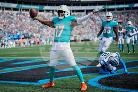APTOPIX Dolphins Panthers Football