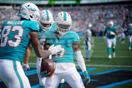 Dolphins Panthers Football