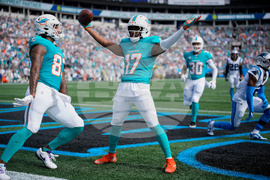 Dolphins Panthers Football