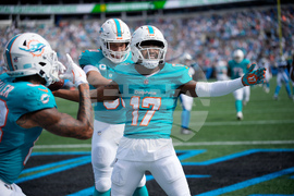 Dolphins Panthers Football