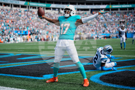 Dolphins Panthers Football