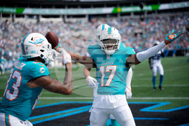 APTOPIX Dolphins Panthers Football