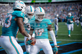 Dolphins Panthers Football