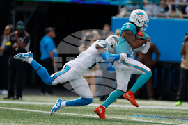 Dolphins Panthers Football