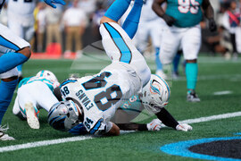 Dolphins Panthers Football