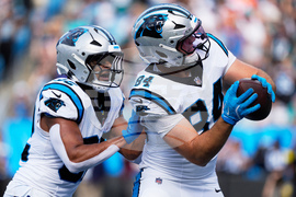 Dolphins Panthers Football