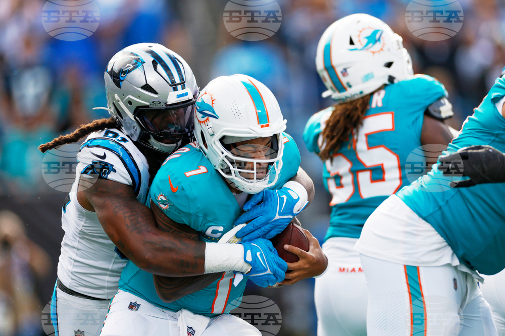 APTOPIX Dolphins Panthers Football