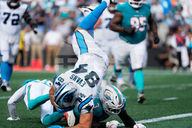 Dolphins Panthers Football