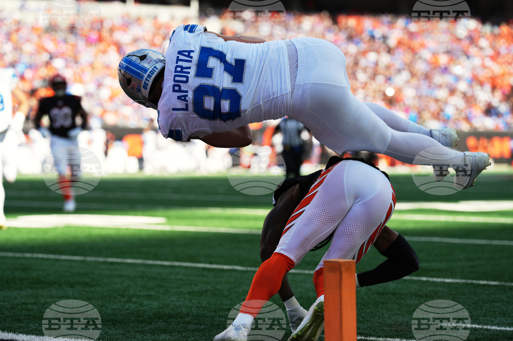 Lions Bengals Football