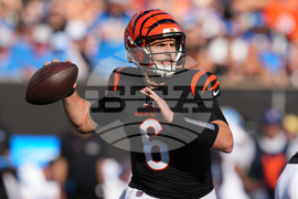 Lions Bengals Football