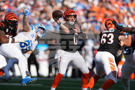 Lions Bengals Football