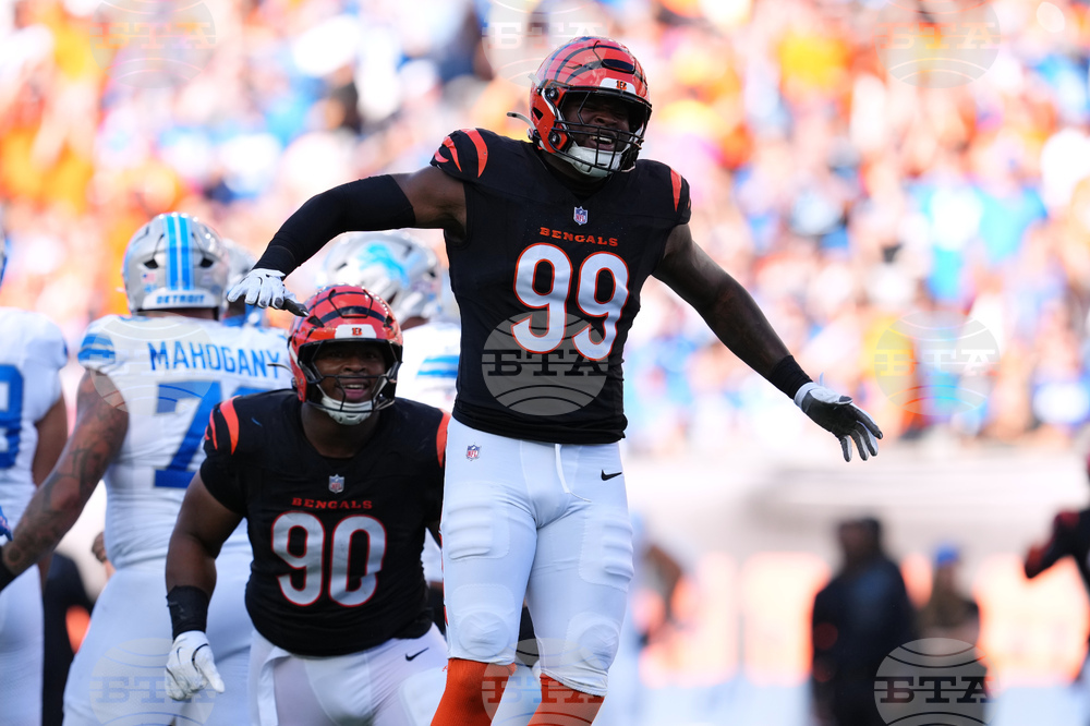 Lions Bengals Football