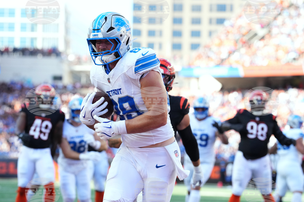 Lions Bengals Football