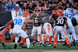 Lions Bengals Football