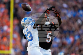 Lions Bengals Football