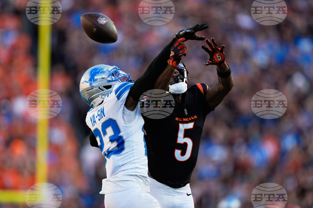 Lions Bengals Football