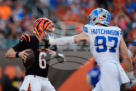 Lions Bengals Football