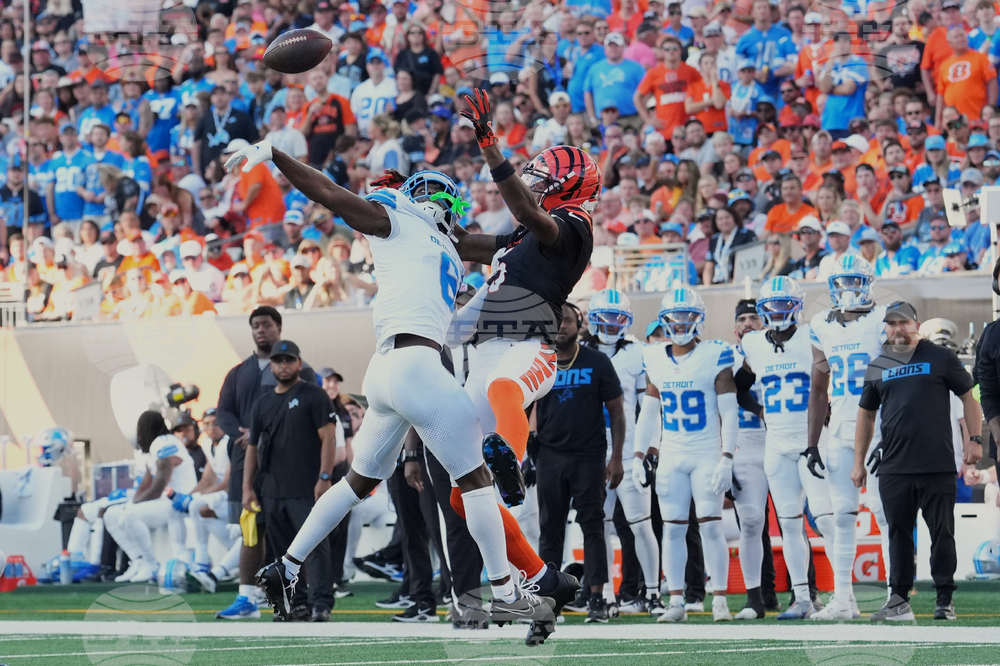 Lions Bengals Football
