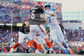 Lions Bengals Football