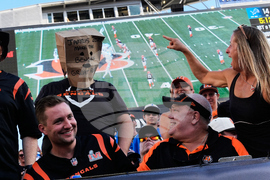 Lions Bengals Football