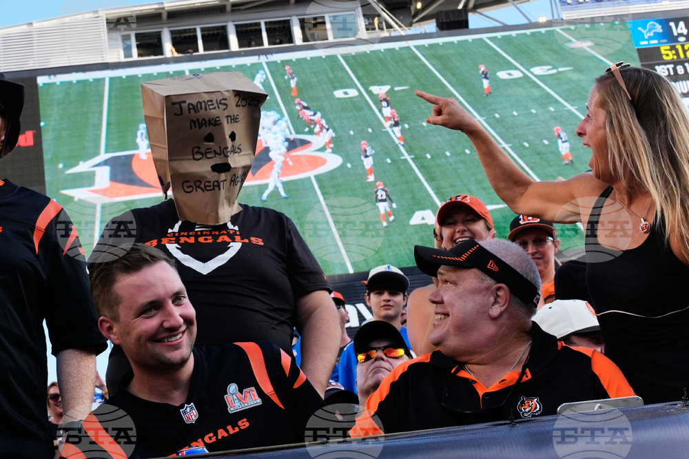 Lions Bengals Football