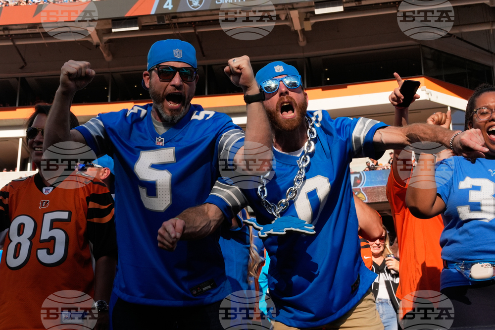 Lions Bengals Football