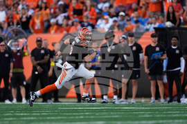 Lions Bengals Football