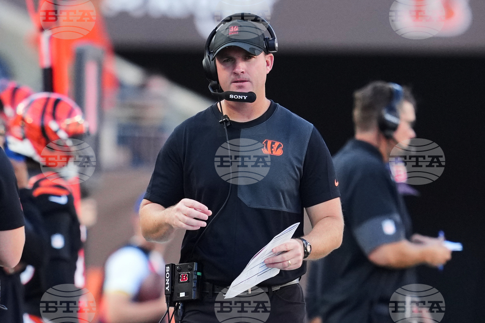 Lions Bengals Football