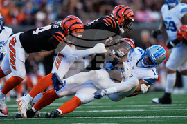 Lions Bengals Football