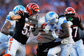 Lions Bengals Football