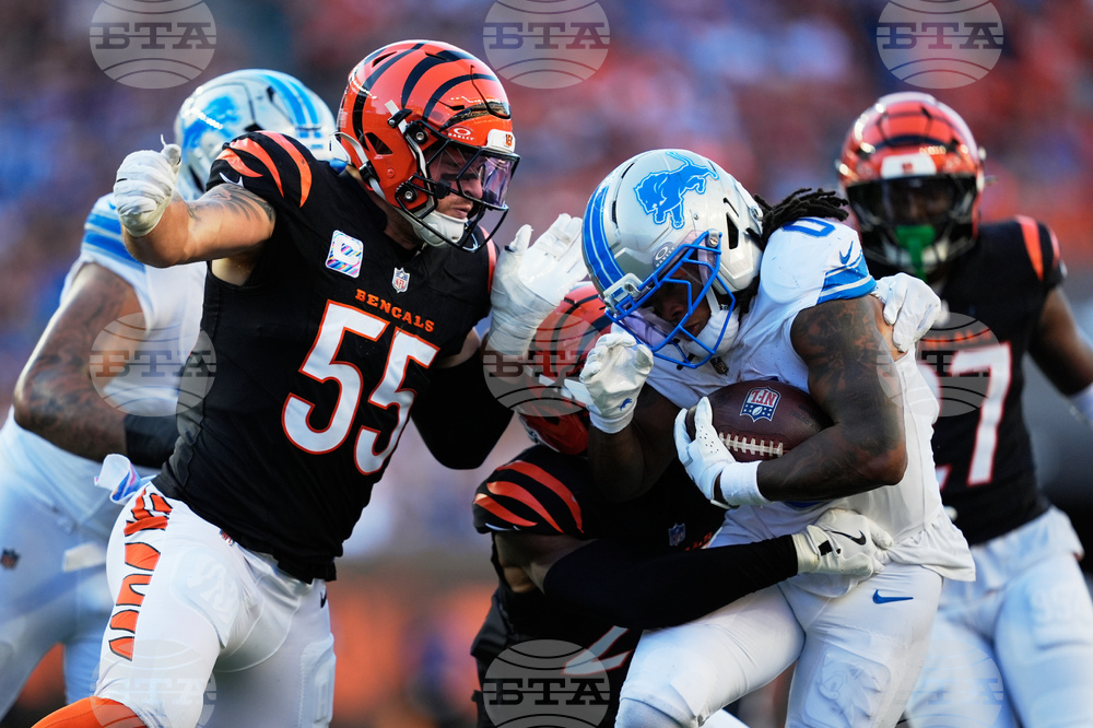 Lions Bengals Football