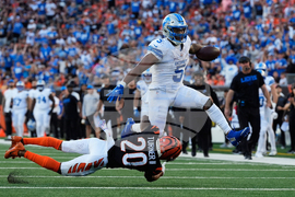 APTOPIX Lions Bengals Football