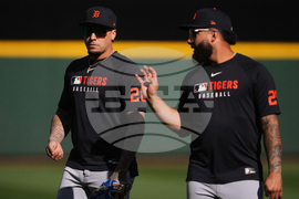 ALDS Tigers Mariners Baseball