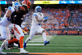 Lions Bengals Football