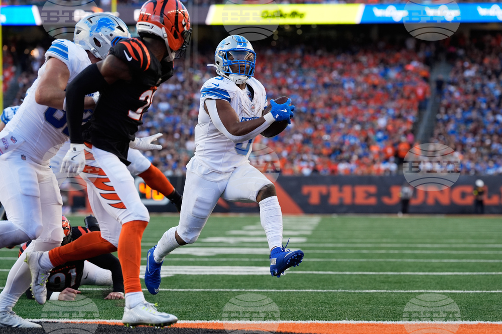 Lions Bengals Football