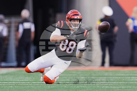 Lions Bengals Football