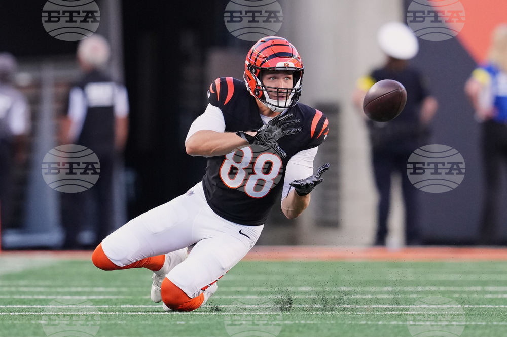 Lions Bengals Football