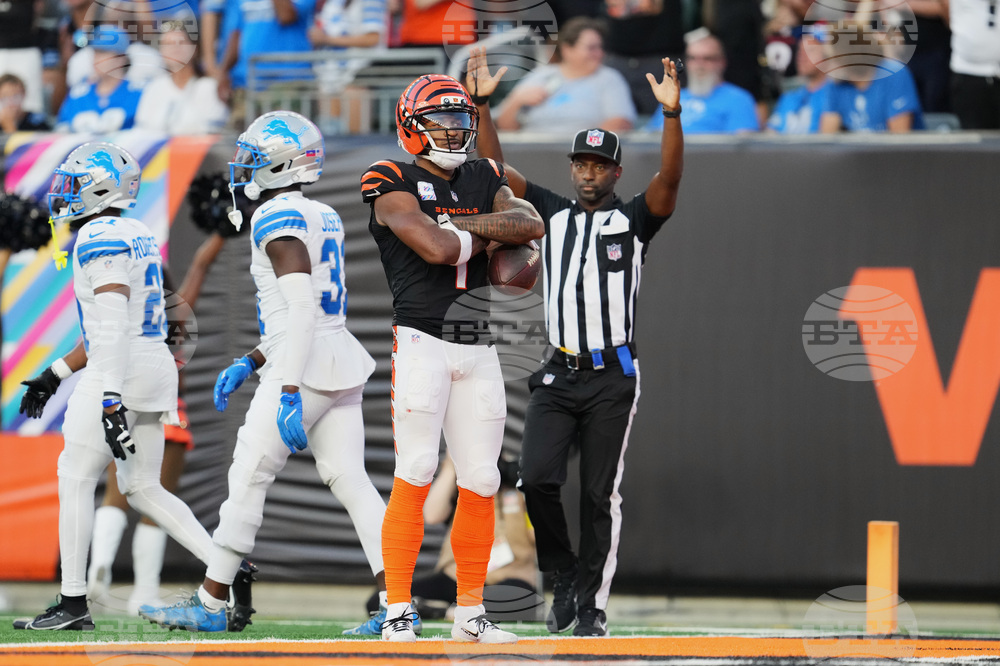 Lions Bengals Football