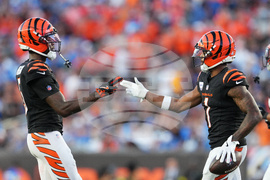Lions Bengals Football